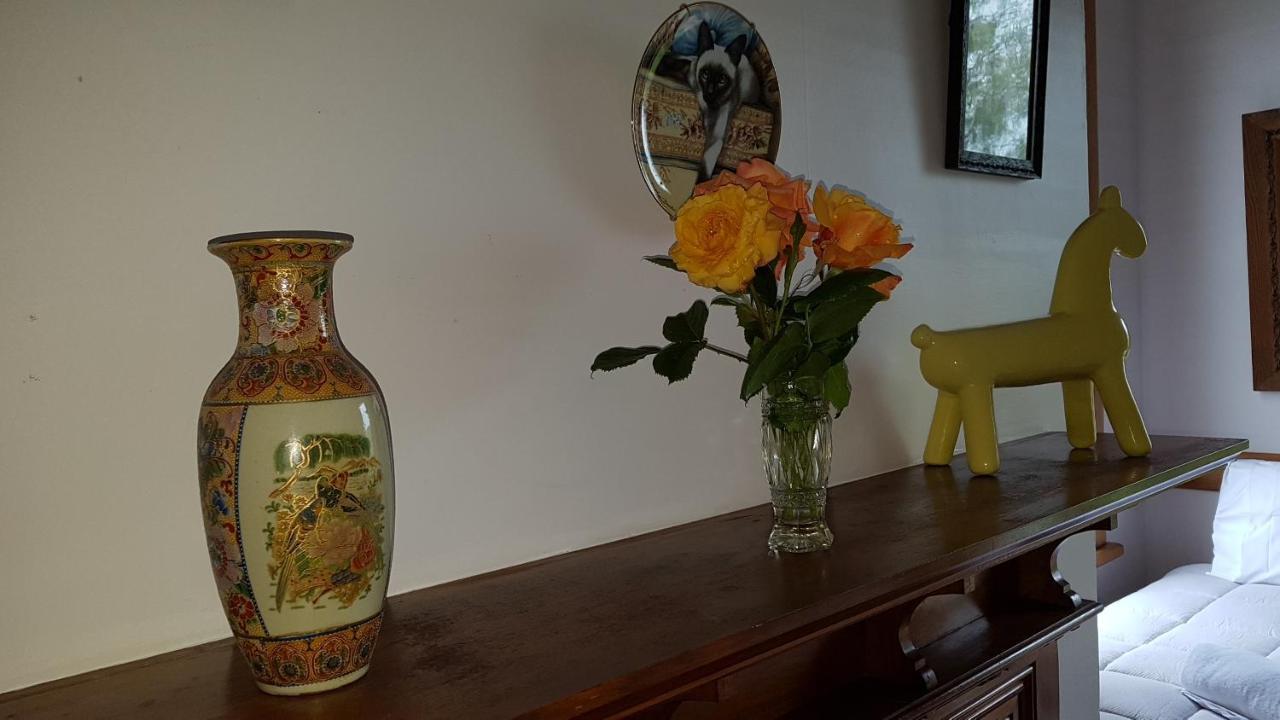 Bushy Park Historical Homestead Kai Iwi Extérieur photo